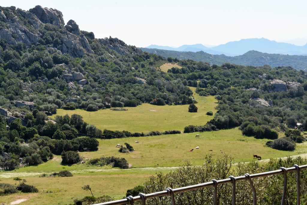 Porto Cervo-Villa La Gjanda Abbiadori Dış mekan fotoğraf